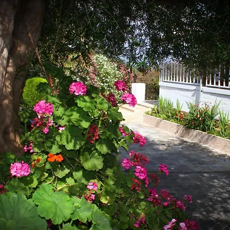 Tina Hotel Dassia  Exterior photo