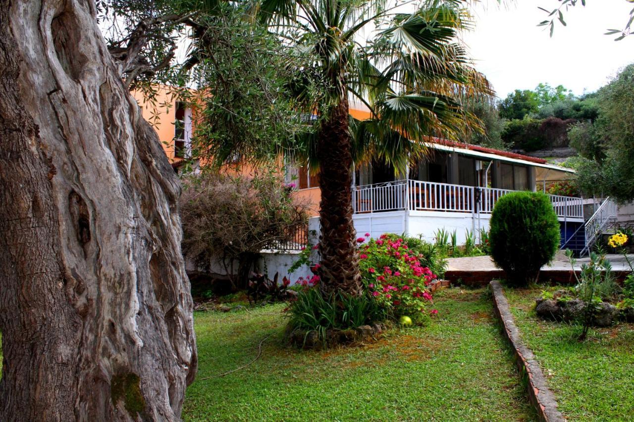 Tina 2* Dassia (Corfu)